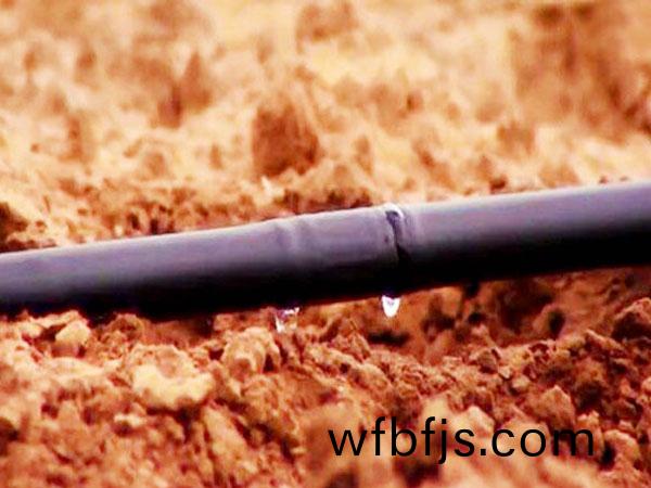 滴灌案(an)例(li)