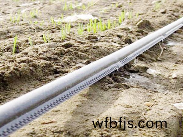 迷(mi)宮式(shi)滴灌帶(dai)